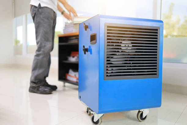 Best Indoor Air Quality Assessment  in Canton, TX